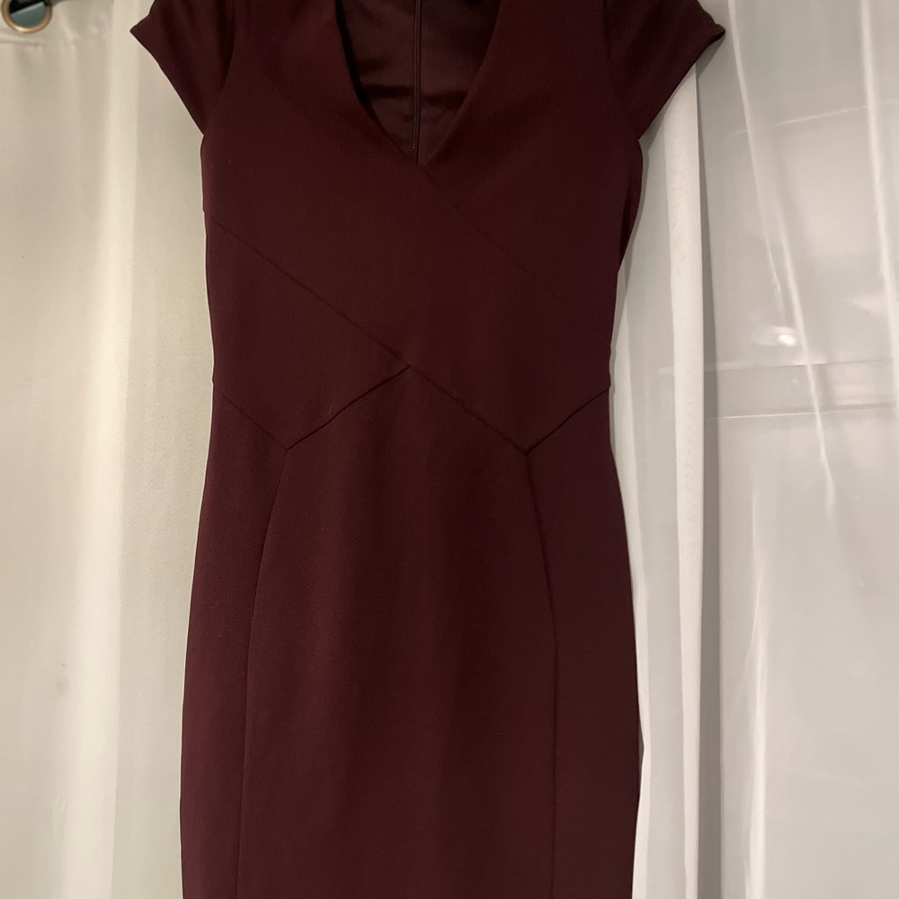 Express Deep Burgundy Mini Dress